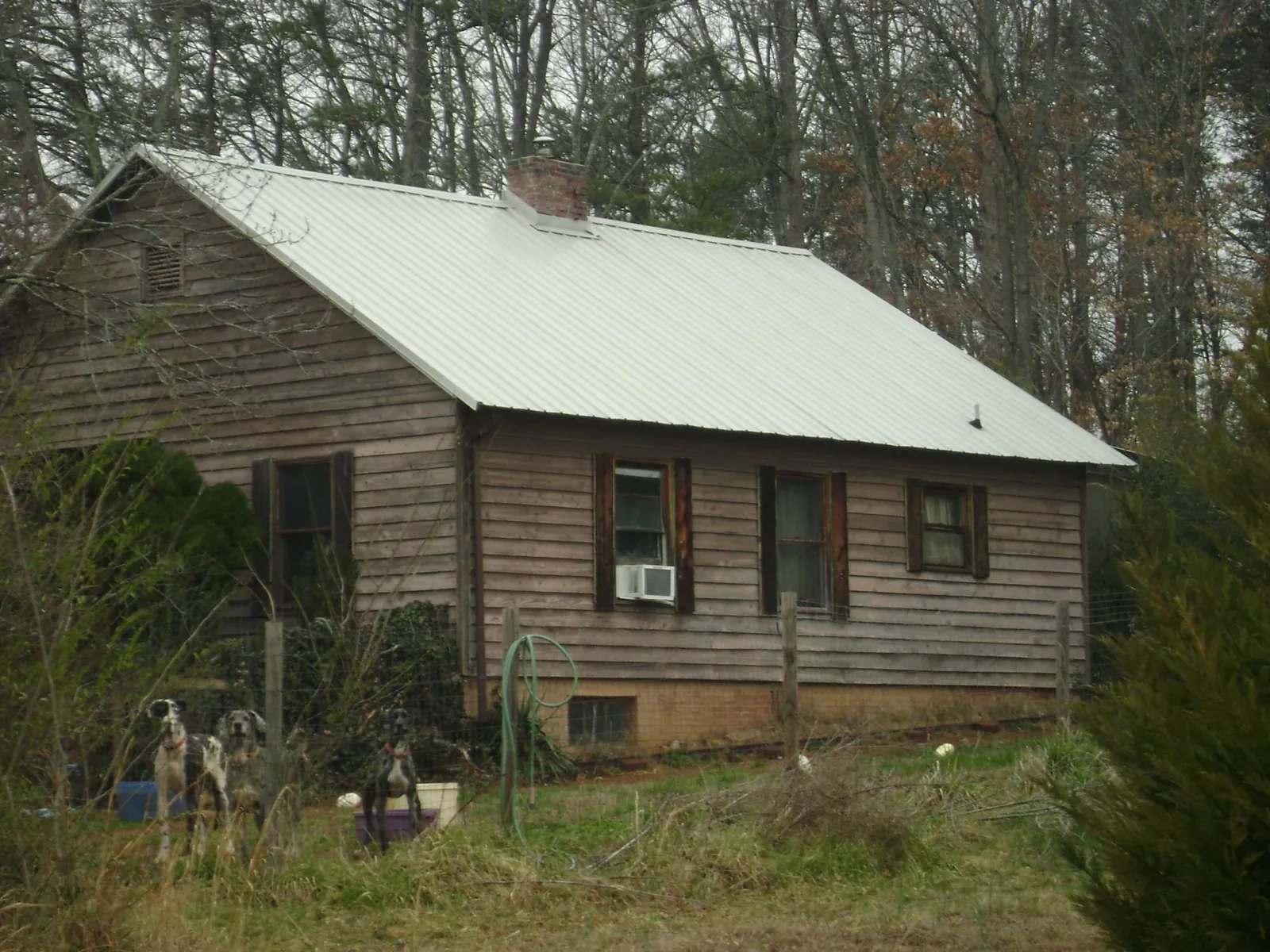 White metal roof on an old wood sided farmhouse, from a Asphalt Shingle Roof Repair job in Ocean City